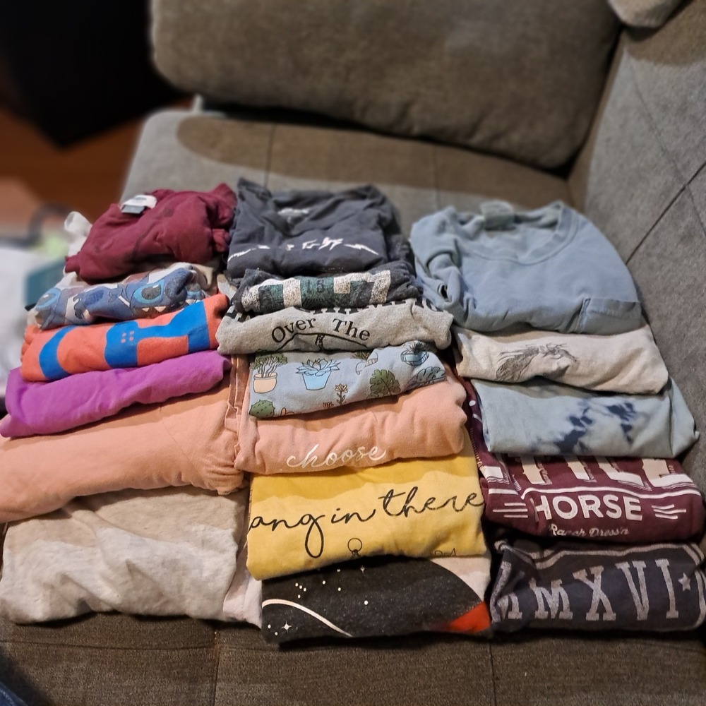Lot 18 vtg sm womens tees Horses AC/DC Aero ZoeLiv NASA Disney HollisterY2K